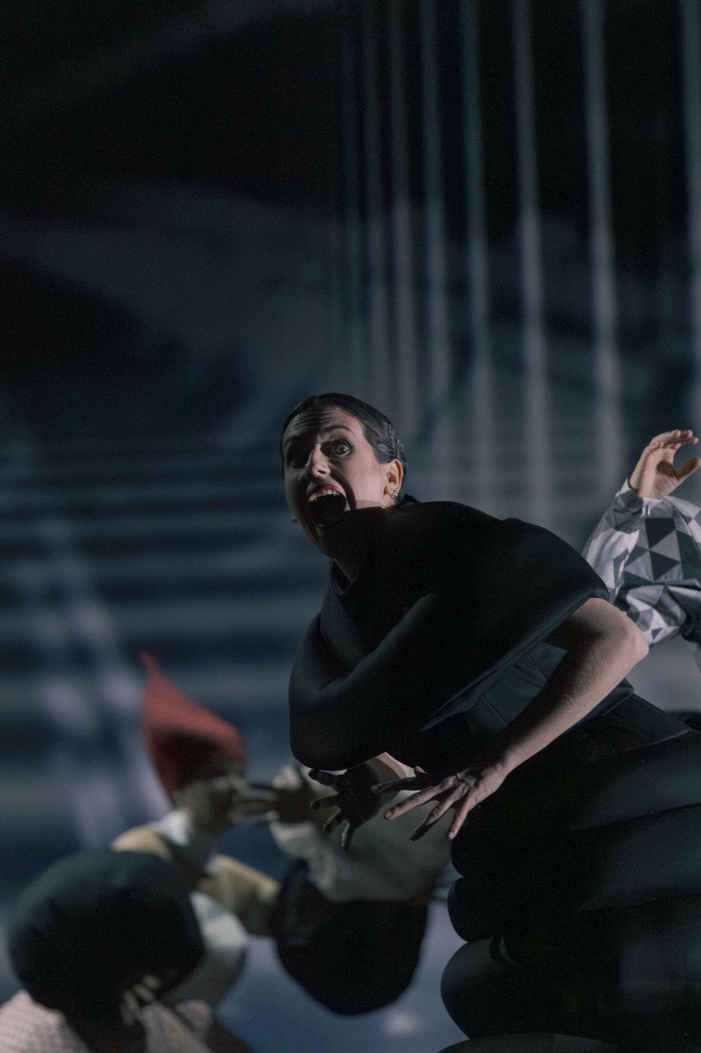 Crédit : Nicolas Suarez